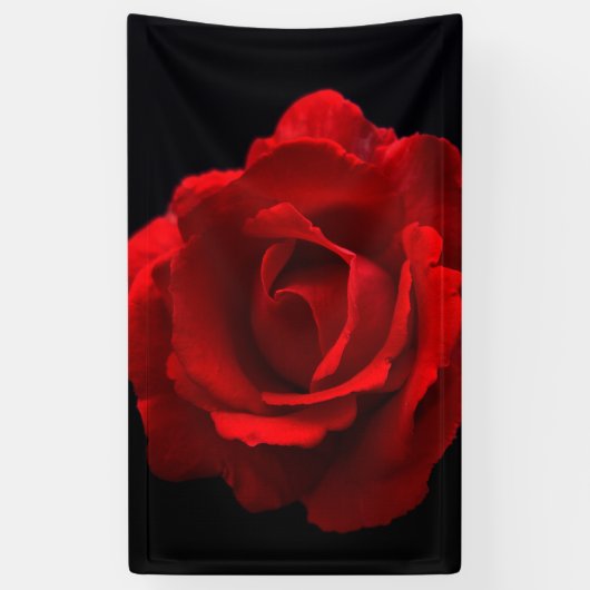 Rote Rose Banner (Vertikal)
