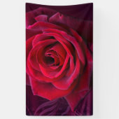 rote Rose Banner (Vertikal)