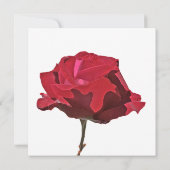 Rote Rose Beerdigung Dankeschön Karte (Rückseite)