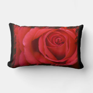 Rote Rose Black Border Lumbar Lendenkissen