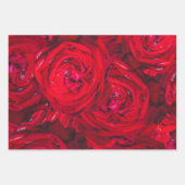 Rote Rose blüht mit Abtropfen - Fotografie Geschenkpapier Set (Vorderseite 3)