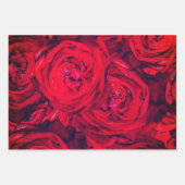 Rote Rose blüht mit Abtropfen - Fotografie Geschenkpapier Set (Vorderseite 2)