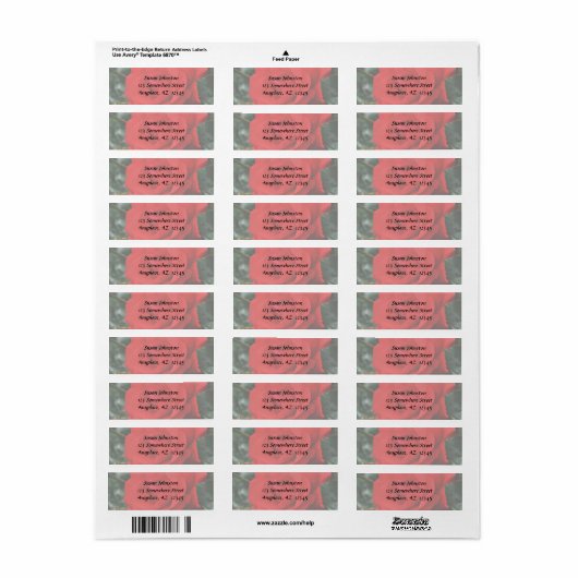 rote Rose-Blume (Vorne)