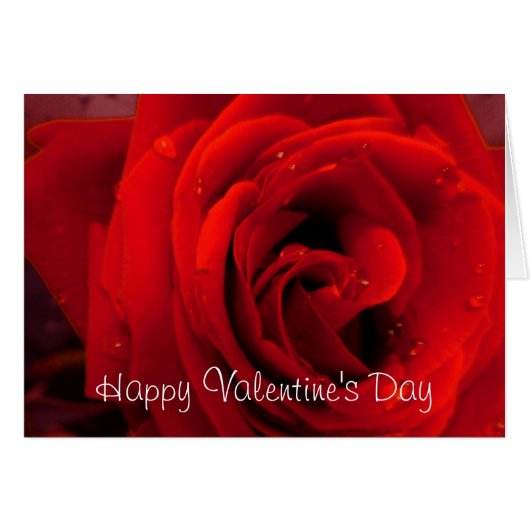 Rote Rose Blume (Vorderseite (Horizontal))