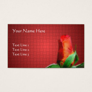 Rote Rose Blume Art Natur