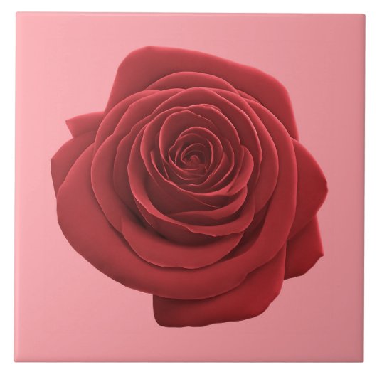 Rote Rose Blume auf Keramik Tile Fliese (Vorderseite)