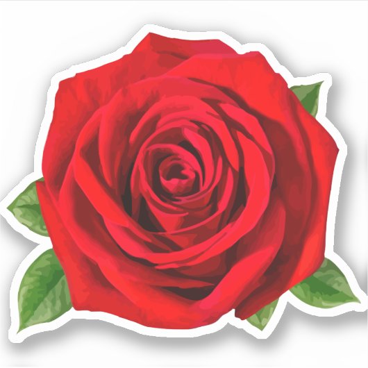 Rote Rose Blume Aufkleber (Vorderseite)
