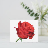 Rote Rose Blume Blank Schwarze Post Card Postkarte (Stehend Vorderseite)