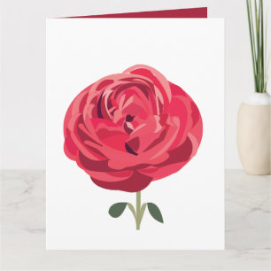 Rote Rose Blume Blumengrüße Rote Rose Karte