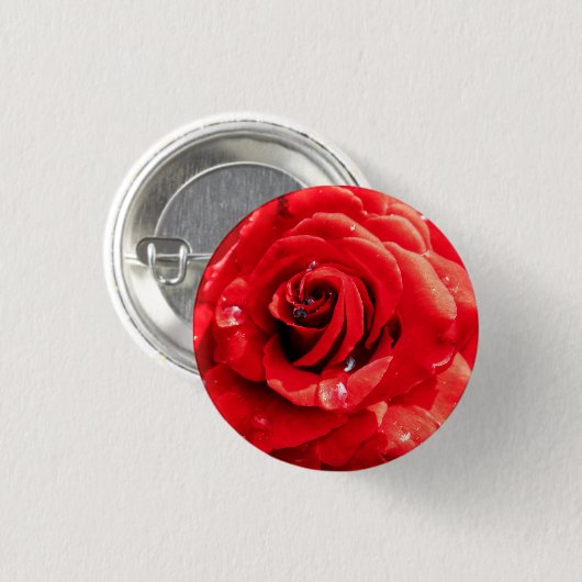 Rote Rose Blume Button (Vorne & Hinten)