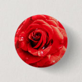 Rote Rose Blume Button (Vorderseite)