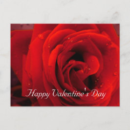 Rote Rose Blume Feiertagspostkarte