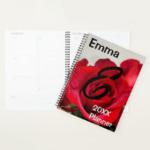 Rote Rose Blume Foto Planer (Anzeige)