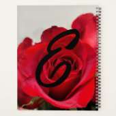Rote Rose Blume Foto Planer (Rückseite)
