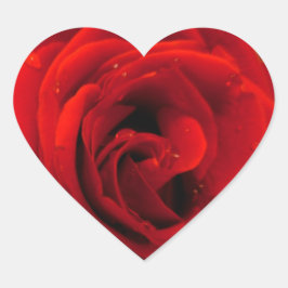 Rote Rose Blume Herz-Aufkleber