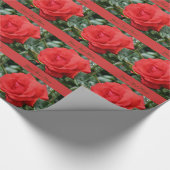 Rote Rose Blume im Blut Geschenkpapier (Ecke)