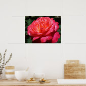 Rote Rose Blume Kunstdrucken Rose Garten Poster (Küche)
