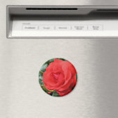 Rote Rose Blume Magnet (In Situ (Geschirrspüler))