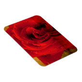 rote Rose Blume Magnet (Rechte Seite)