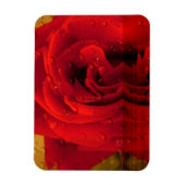 rote Rose Blume Magnet (Vertikal)