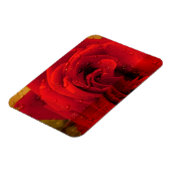 rote Rose Blume Magnet (Linke Seite)