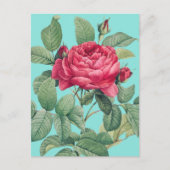 Rote Rose Blume mit grünen Blätter DANKE Postkarte (Vorderseite)