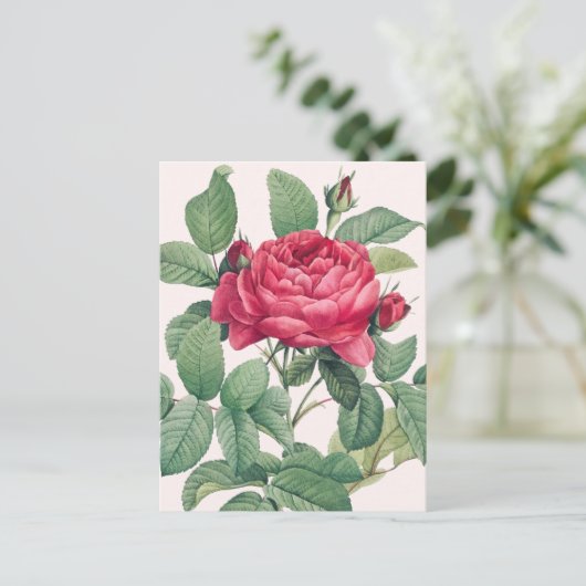 Rote Rose Blume mit grünen Blätter DANKE Postkarte (Stehend Vorderseite)