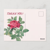 Rote Rose Blume mit grünen Blätter DANKE Postkarte (Rückseite)