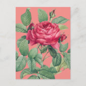 Rote Rose Blume mit grünen Blätter DANKE Postkarte (Vorderseite)