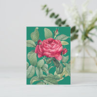 Rote Rose Blume mit grünen Blätter DANKE