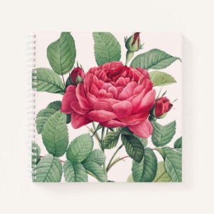 Rote Rose Blume mit grünen Blätter Notizblock