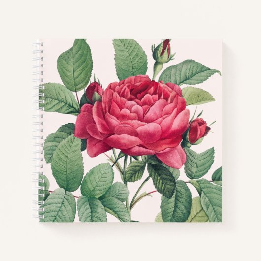 Rote Rose Blume mit grünen Blätter Notizblock (Vorderseite)