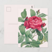 Rote Rose Blume mit grünen Blätter Postkarte (Vorne/Hinten)