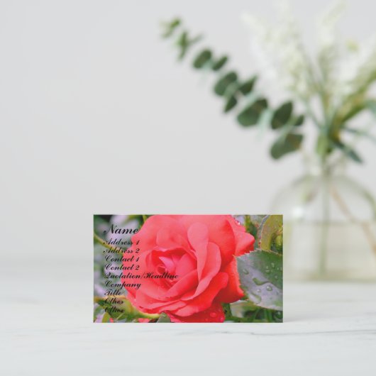rote Rose Blume - Natureprofil-Visitenkarte Visitenkarte (Stehend Vorderseite)
