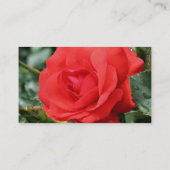 rote Rose Blume - Natureprofil-Visitenkarte Visitenkarte (Rückseite)