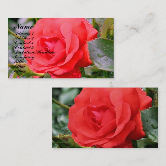 rote Rose Blume - Natureprofil-Visitenkarte Visitenkarte (Vorne/Hinten)