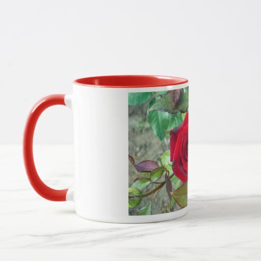 Rote Rose Blume Tasse (Links)