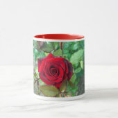 Rote Rose Blume Tasse (Zentrum)