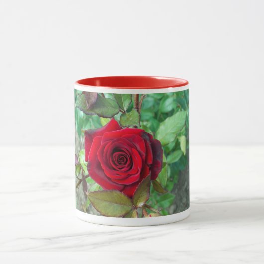Rote Rose Blume Tasse (Zentrum)