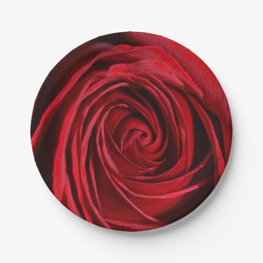 Rote Rose Blume Teller (Vorderseite)