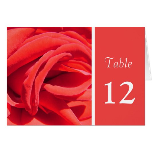 rote Rose Blume Tischnummer (Vorderseite (Horizontal))