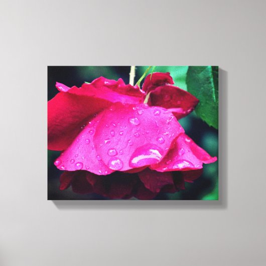 Rote Rose Blume und Seile Leinwanddruck (Vorderseite)