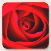 Rote Rose Blume Untersetzer (Vorderseite)