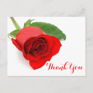 Rote Rose Blume Vielen Dank Postkarte