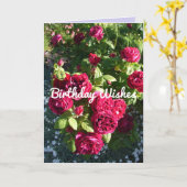 Rote Rose Blume Vintage Rose Karte (Gelbe Blume)