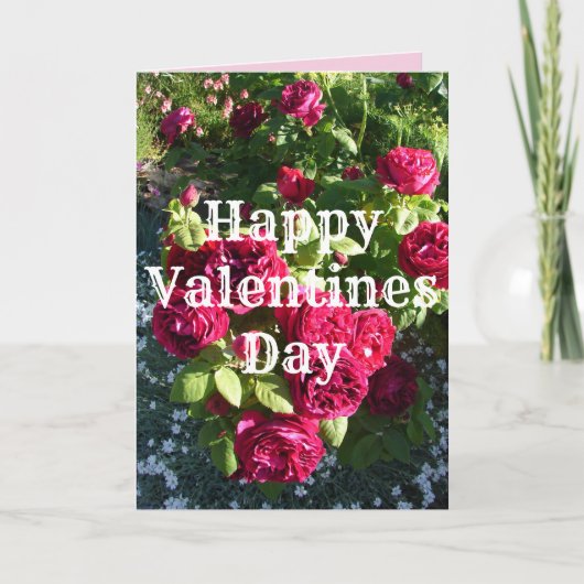 Rote Rose Blume Vintage Rose Karte (Vorderseite)