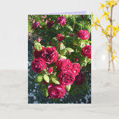 Rote Rose Blume Vintage Rose Karte (Gelbe Blume)