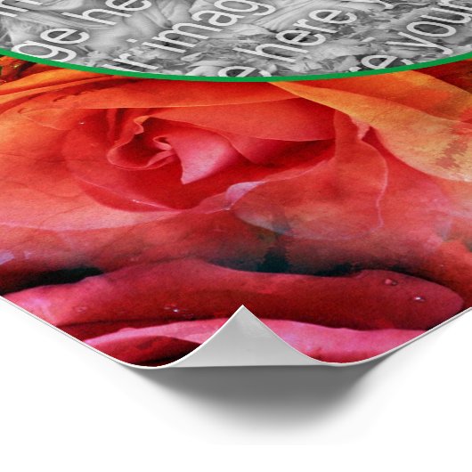 Rote Rose Blumenrahmen Ihr Foto hinzufügen Poster (Ecke)