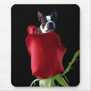 Rote Rose Boston Terrier Mousepad
