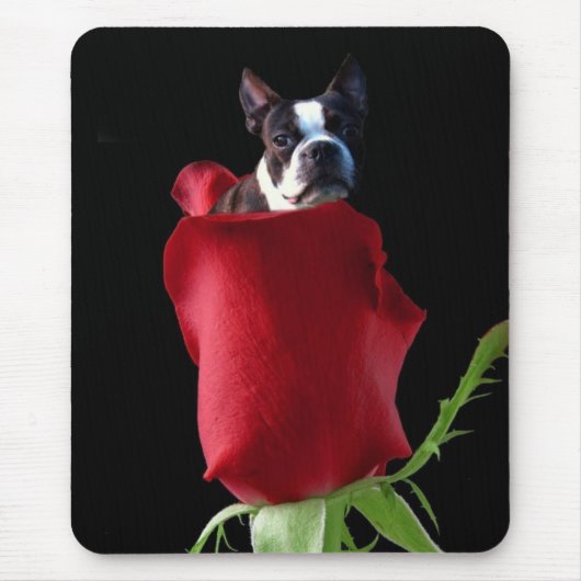 Rote Rose Boston Terrier Mousepad (Vorne)